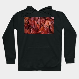 Prunus in Autumn - Avril Thomas at Magpie Springs Hoodie